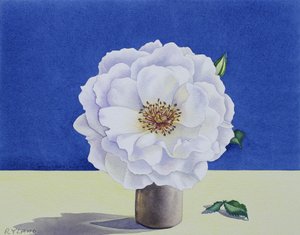 未知的图片 作者 未知未知